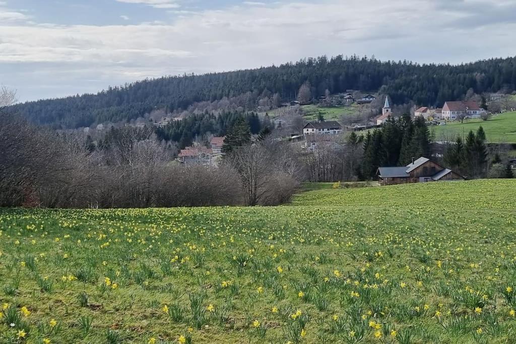 Le Grenier De Jules Et Marguerite Villa Liézey Екстериор снимка